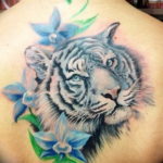 Фото тату белый тигр 28.07.2019 №066 - white tiger tattoo - tatufoto.com