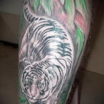 Фото тату белый тигр 28.07.2019 №067 - white tiger tattoo - tatufoto.com