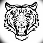 Фото тату белый тигр 28.07.2019 №068 - white tiger tattoo - tatufoto.com