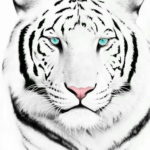 Фото тату белый тигр 28.07.2019 №070 - white tiger tattoo - tatufoto.com