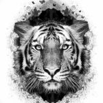 Фото тату белый тигр 28.07.2019 №073 - white tiger tattoo - tatufoto.com