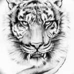Фото тату белый тигр 28.07.2019 №078 - white tiger tattoo - tatufoto.com