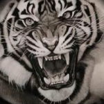 Фото тату белый тигр 28.07.2019 №083 - white tiger tattoo - tatufoto.com