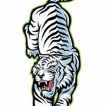 Фото тату белый тигр 28.07.2019 №087 - white tiger tattoo - tatufoto.com