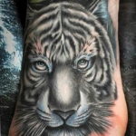 Фото тату белый тигр 28.07.2019 №088 - white tiger tattoo - tatufoto.com