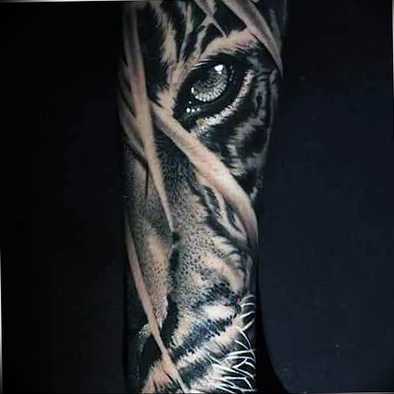 Фото тату белый тигр 28.07.2019 №091 - white tiger tattoo - tatufoto.com