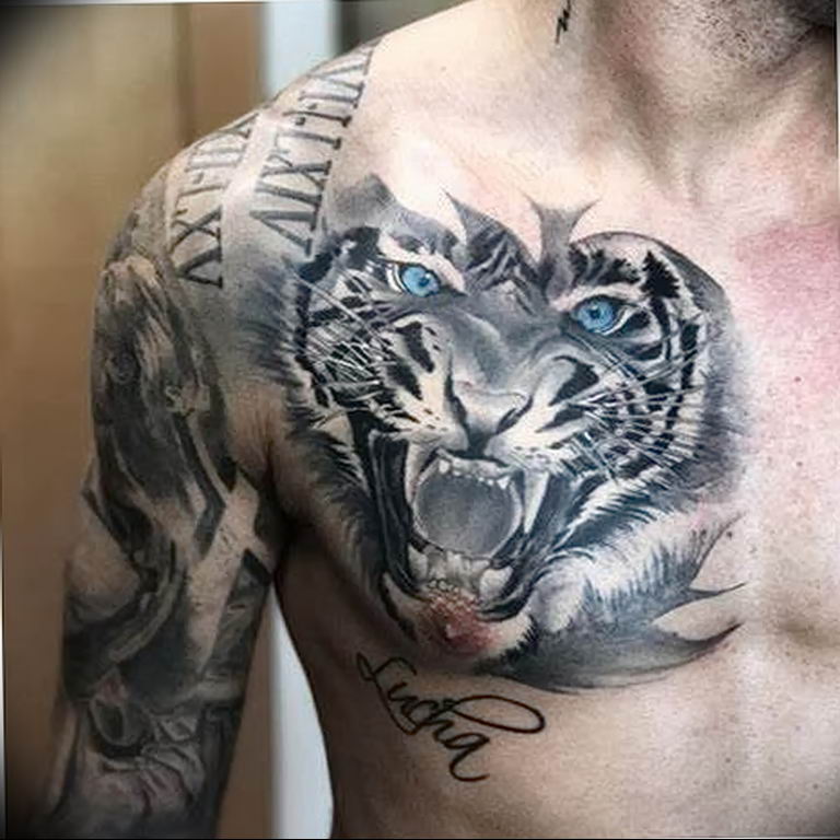 Фото тату белый тигр 28.07.2019 №094 - white tiger tattoo - tatufoto.com