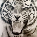 Фото тату белый тигр 28.07.2019 №095 - white tiger tattoo - tatufoto.com