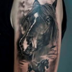Фото тату голова лошади 24.07.2019 №001 - horse head tattoo - tatufoto.com