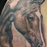 Фото тату голова лошади 24.07.2019 №002 - horse head tattoo - tatufoto.com