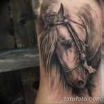 Фото тату голова лошади 24.07.2019 №004 - horse head tattoo - tatufoto.com