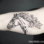 Фото тату голова лошади 24.07.2019 №005 - horse head tattoo - tatufoto.com