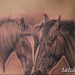 Фото тату голова лошади 24.07.2019 №010 - horse head tattoo - tatufoto.com