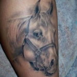 Фото тату голова лошади 24.07.2019 №016 - horse head tattoo - tatufoto.com