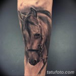Фото тату голова лошади 24.07.2019 №017 - horse head tattoo - tatufoto.com