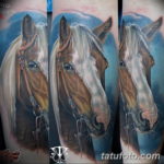 Фото тату голова лошади 24.07.2019 №018 - horse head tattoo - tatufoto.com