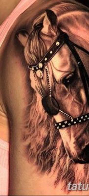 Фото тату голова лошади 24.07.2019 №022 — horse head tattoo — tatufoto.com