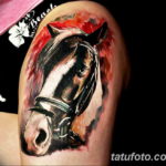 Фото тату голова лошади 24.07.2019 №029 - horse head tattoo - tatufoto.com