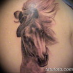 Фото тату голова лошади 24.07.2019 №030 - horse head tattoo - tatufoto.com