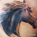 Фото тату голова лошади 24.07.2019 №039 - horse head tattoo - tatufoto.com