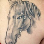 Фото тату голова лошади 24.07.2019 №041 - horse head tattoo - tatufoto.com
