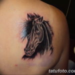 Фото тату голова лошади 24.07.2019 №053 - horse head tattoo - tatufoto.com
