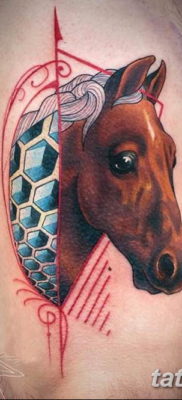 Фото тату голова лошади 24.07.2019 №054 — horse head tattoo — tatufoto.com