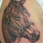 Фото тату голова лошади 24.07.2019 №059 - horse head tattoo - tatufoto.com