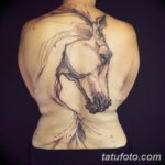 Фото тату лошади на спине 24.07.2019 №004 - horse tattoo on the back - tatufoto.com