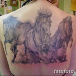 Фото тату лошади на спине 24.07.2019 №009 - horse tattoo on the back - tatufoto.com