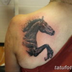 Фото тату лошади на спине 24.07.2019 №024 - horse tattoo on the back - tatufoto.com