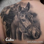 Фото тату лошади на спине 24.07.2019 №025 - horse tattoo on the back - tatufoto.com