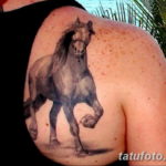Фото тату лошади на спине 24.07.2019 №038 - horse tattoo on the back - tatufoto.com