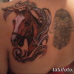 Фото тату лошадь для девушек 24.07.2019 №019 - horse tattoo for girls - tatufoto.com