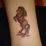 Фото тату лошадь для девушек 24.07.2019 №036 - horse tattoo for girls - tatufoto.com