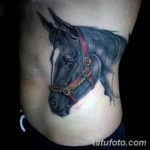 Фото тату лошадь для мужчин 24.07.2019 №009 - horse tattoo for men - tatufoto.com
