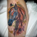 Фото тату лошадь для мужчин 24.07.2019 №062 - horse tattoo for men - tatufoto.com