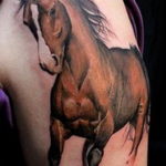 Фото тату лошадь для мужчин 24.07.2019 №064 - horse tattoo for men - tatufoto.com