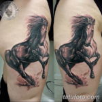 Фото тату лошадь на бедре 24.07.2019 №006 - horse tattoo on thigh - tatufoto.com