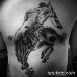 Фото тату лошадь на груди 24.07.2019 №009 - horse tattoo on chest - tatufoto.com