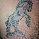 Фото тату лошадь на груди 24.07.2019 №019 - horse tattoo on chest - tatufoto.com