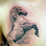 Фото тату лошадь на груди 24.07.2019 №023 - horse tattoo on chest - tatufoto.com