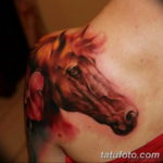 Фото тату лошадь на плече 24.07.2019 №020 - horse tattoo on shoulder - tatufoto.com