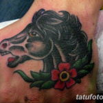 Фото тату лошадь на руке 24.07.2019 №010 - horse tattoo on hand - tatufoto.com