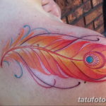 Фото тату перо феникса 18.07.2019 №036 - phoenix feather tattoo - tatufoto.com