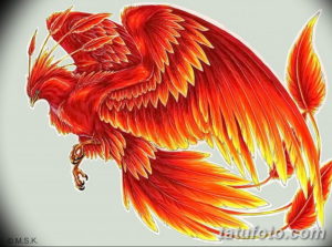 Фото тату птица феникс 18.07.2019 №013 - phoenix bird tattoo - tatufoto.com