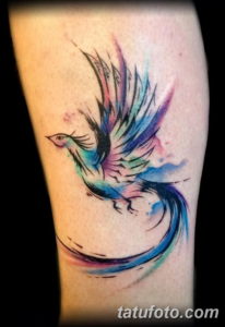 Фото тату феникс акварель 18.07.2019 №001 - tattoo phoenix watercolor - tatufoto.com