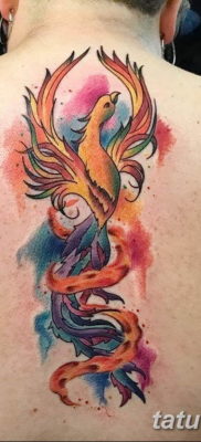 Фото тату феникс для девушек 18.07.2019 №015 — tattoo phoenix for girls — tatufoto.com