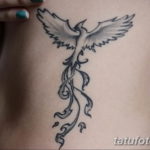 Фото тату феникс для девушек 18.07.2019 №016 - tattoo phoenix for girls - tatufoto.com