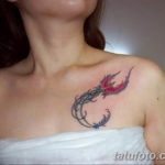 Фото тату феникс для девушек 18.07.2019 №018 - tattoo phoenix for girls - tatufoto.com